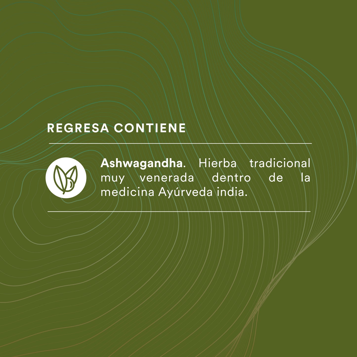 REGRESA - Raíz de Ashwagandha | 120 cápsulas