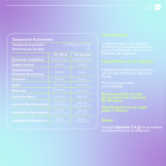 PROBIOTICS 60 BILLION - Probiotics + Prebiotics • 3 Strains • Lactobacilli • Agave Inulin | 120 capsules