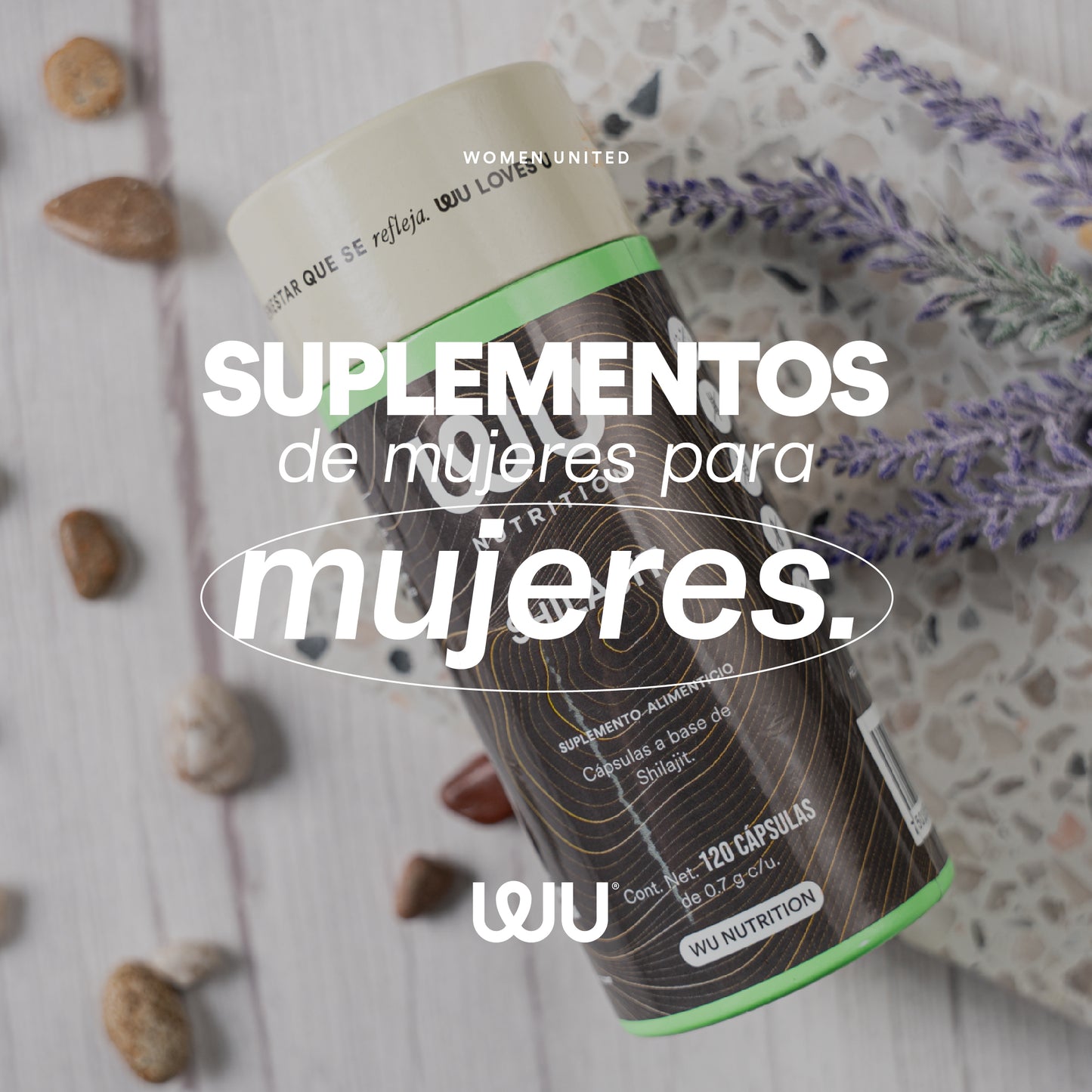 SHILAJIT - Fulvic Acid + Antioxidants + Himalayan Resin | 120 capsules