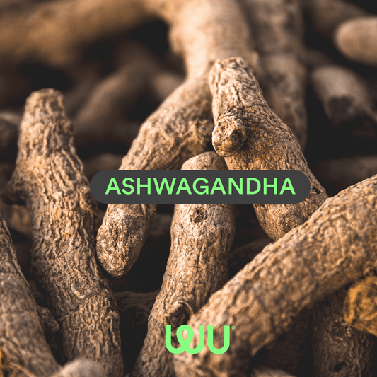 Ashwagandha, la raíz del futuro. - WU Nutrition