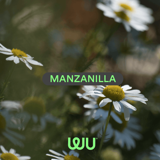 Beneficios Secretos de la Manzanilla - WU Nutrition