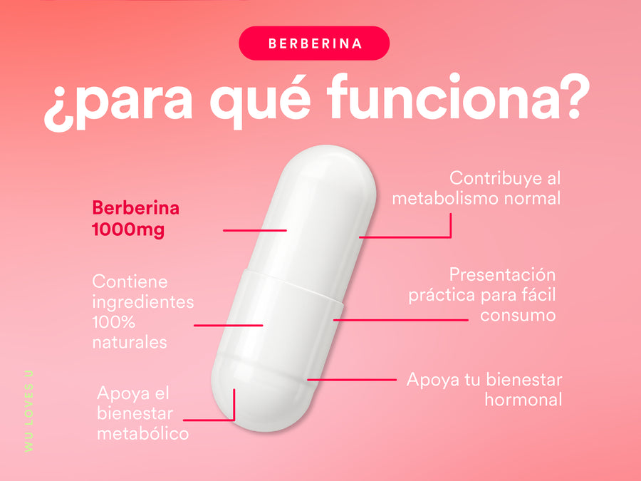 BERBERINE — contenido A+, pieza 4 de 5