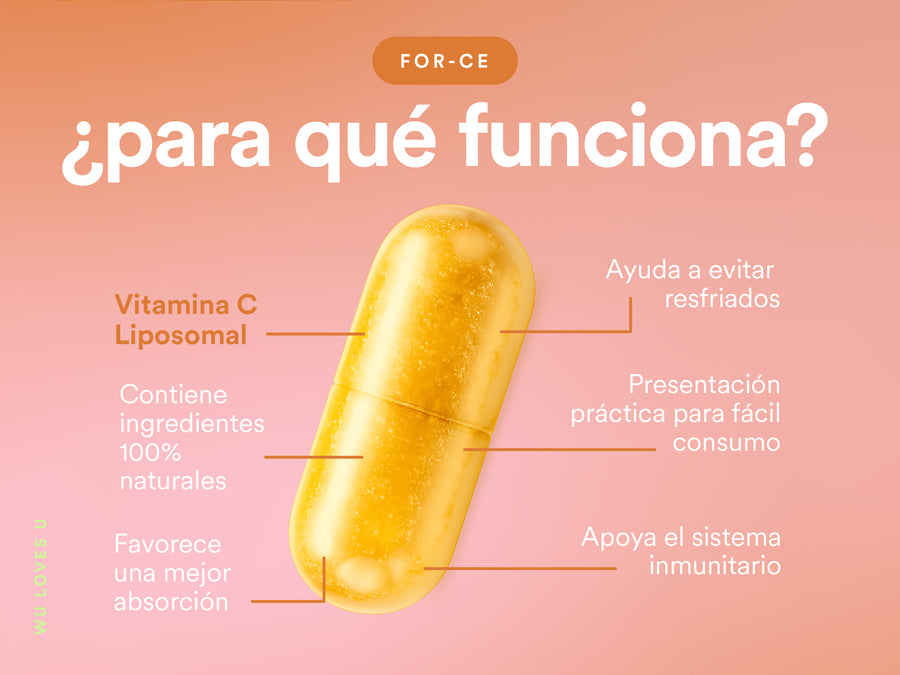FOR-CE — contenido A+, pieza 4 de 5