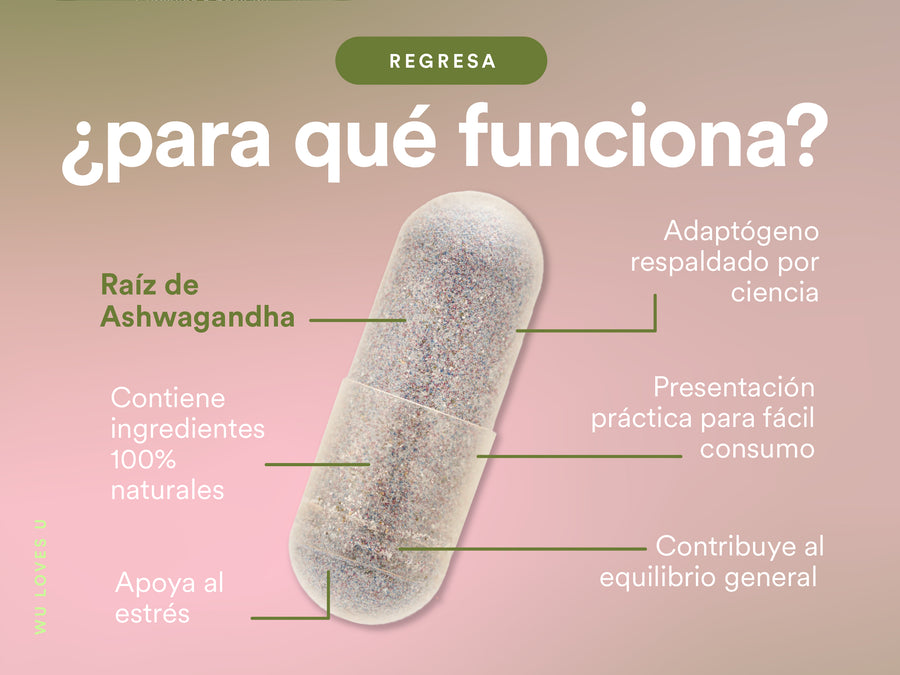 RETORNOS — contenido A+, pieza 4 de 5