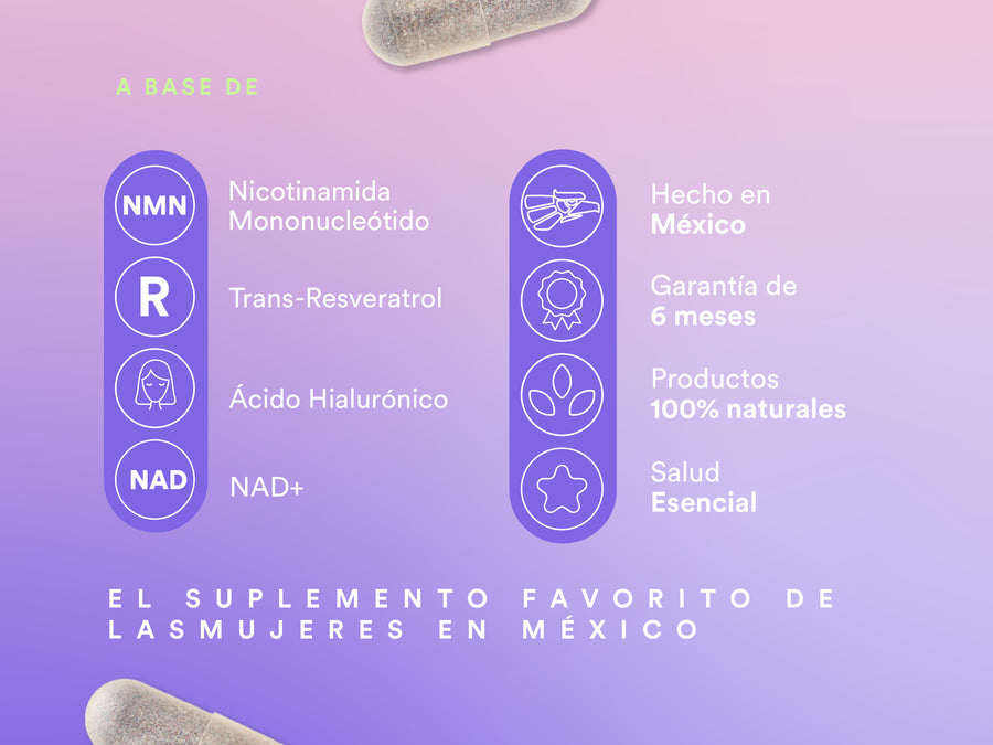 RENOVA — contenido A+, pieza 2 de 5