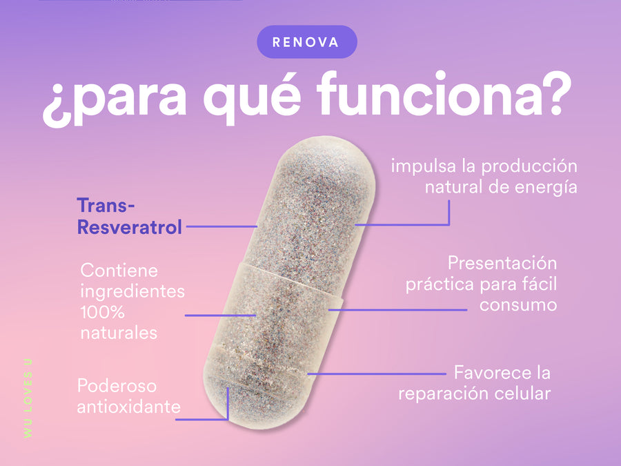 RENOVA — contenido A+, pieza 4 de 5