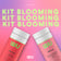 KIT Blooming 💕 BRILLA (Colágeno) y ACTIVA (Vitamina D)