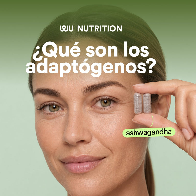 REGRESA A+ 02