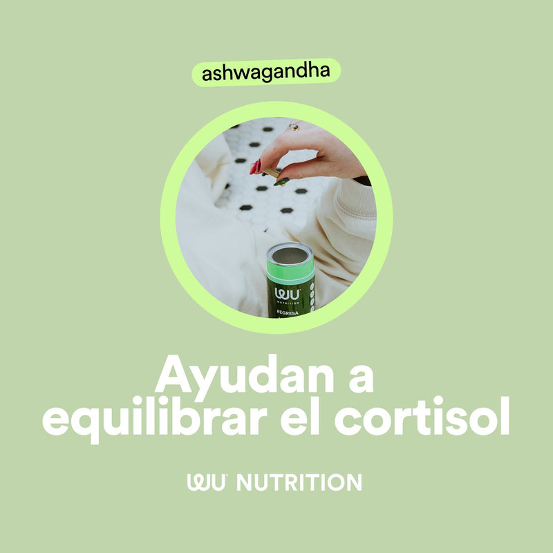 REGRESA A+ 04